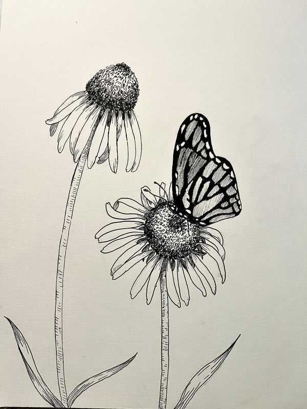 Drawing Butterflies and Coneflowers Workshop with Bailey Whittington - Saturday, August 15, 2026