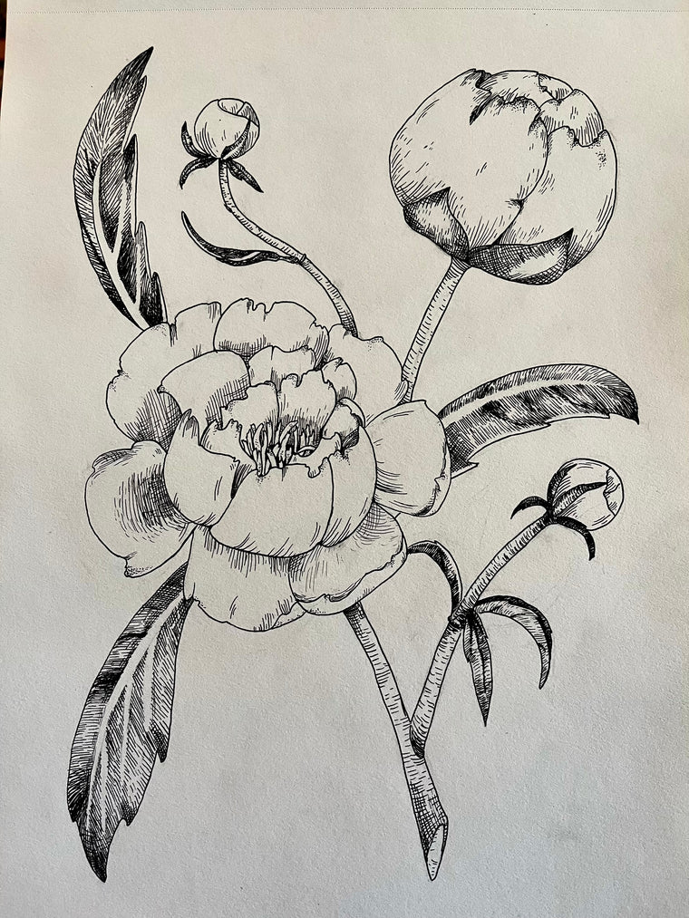 Sketching Peonies with Bailey Whittington - Saturday, May 23, 2026